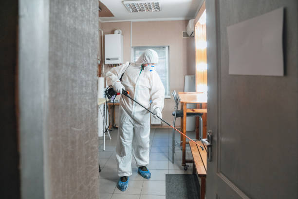 Best Mold Odor Removal Services  in Platte, SD