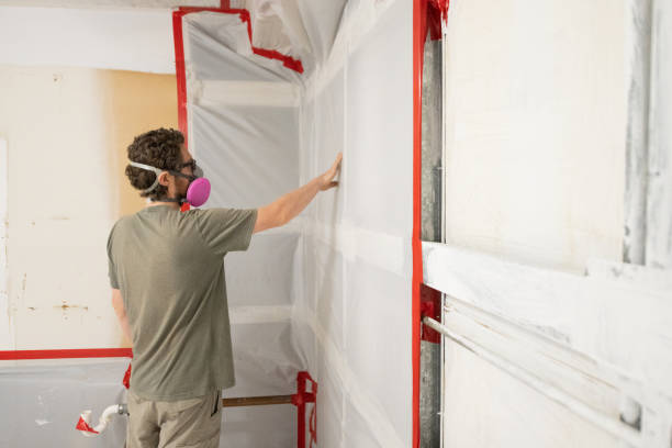 Best Commercial Mold Inspection  in Platte, SD