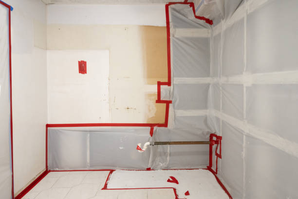 Best Environmental Consulting for Mold Prevention  in Platte, SD