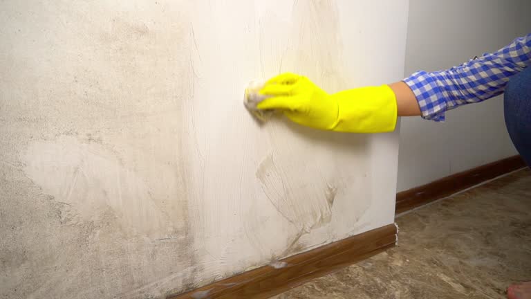 Best Crawl Space Mold Remediation  in Platte, SD