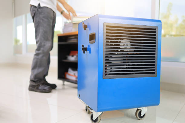 Best Real Estate Mold Inspection  in Platte, SD