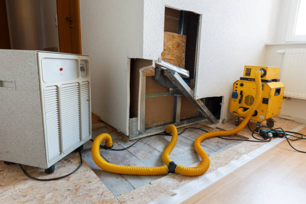 Mold Remediation for Rental Properties in Platte, SD