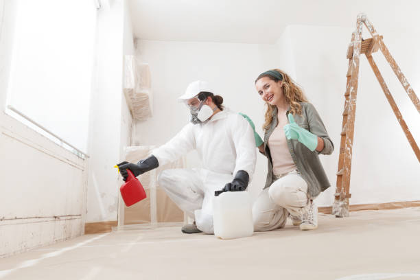 Best Mold-Related Health Consultation  in Platte, SD