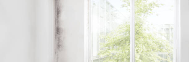 Best Indoor Air Quality Assessment  in Platte, SD