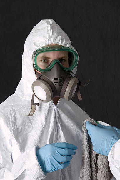 Best Crawl Space Mold Remediation  in Platte, SD